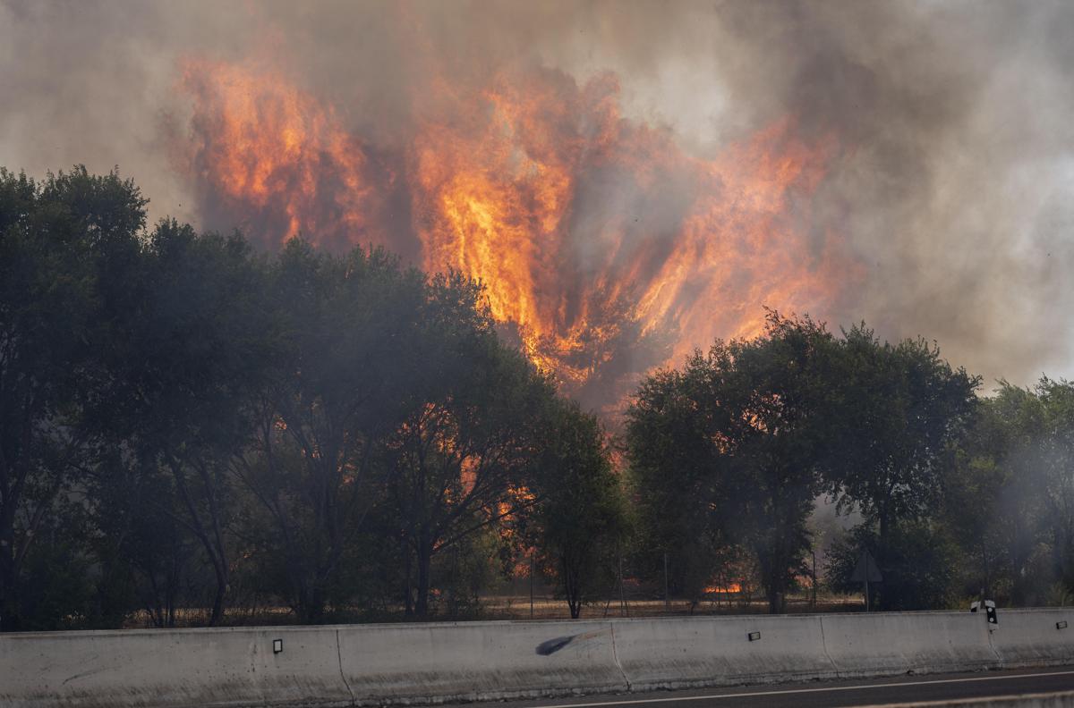 Incendi in Spagna e Francia, decine di migliaia evacuati: “Situazione drammatica”