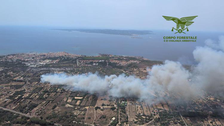Incendi Sardegna - Corpo forestale