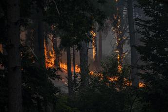 Incendio a Pedralaves, Avila, in Castiglia e Leòn, Spagna. - Fotogramma/Ipa