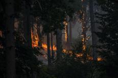 Incendio a Pedralaves, Avila, in Castiglia e Leòn, Spagna. - Fotogramma/Ipa