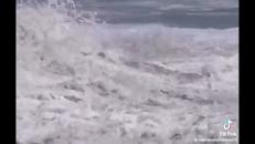 Il baby baywatch e il salvataggio eroico tra le onde del Pacifico - Video