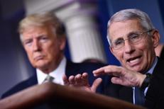 Donald Trump ed Anthony Fauci - (Afp)