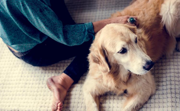 Una donna con il suo cane - 
 