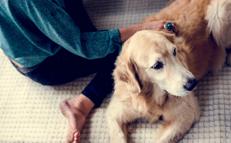 Una donna con il suo cane - 
 