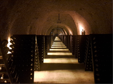 Vino: sempre più enoturisti nella Champagne, alla scoperta di Maison blasonate e vignerons