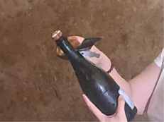 Vino: in Champagne vendemmia 2026 la più anticipata di sempre, sfida cambiamenti climatici e mercati