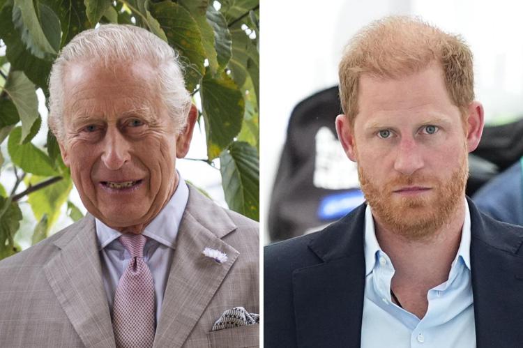 Re Carlo e il principe Harry - Ipa/Fotogramma