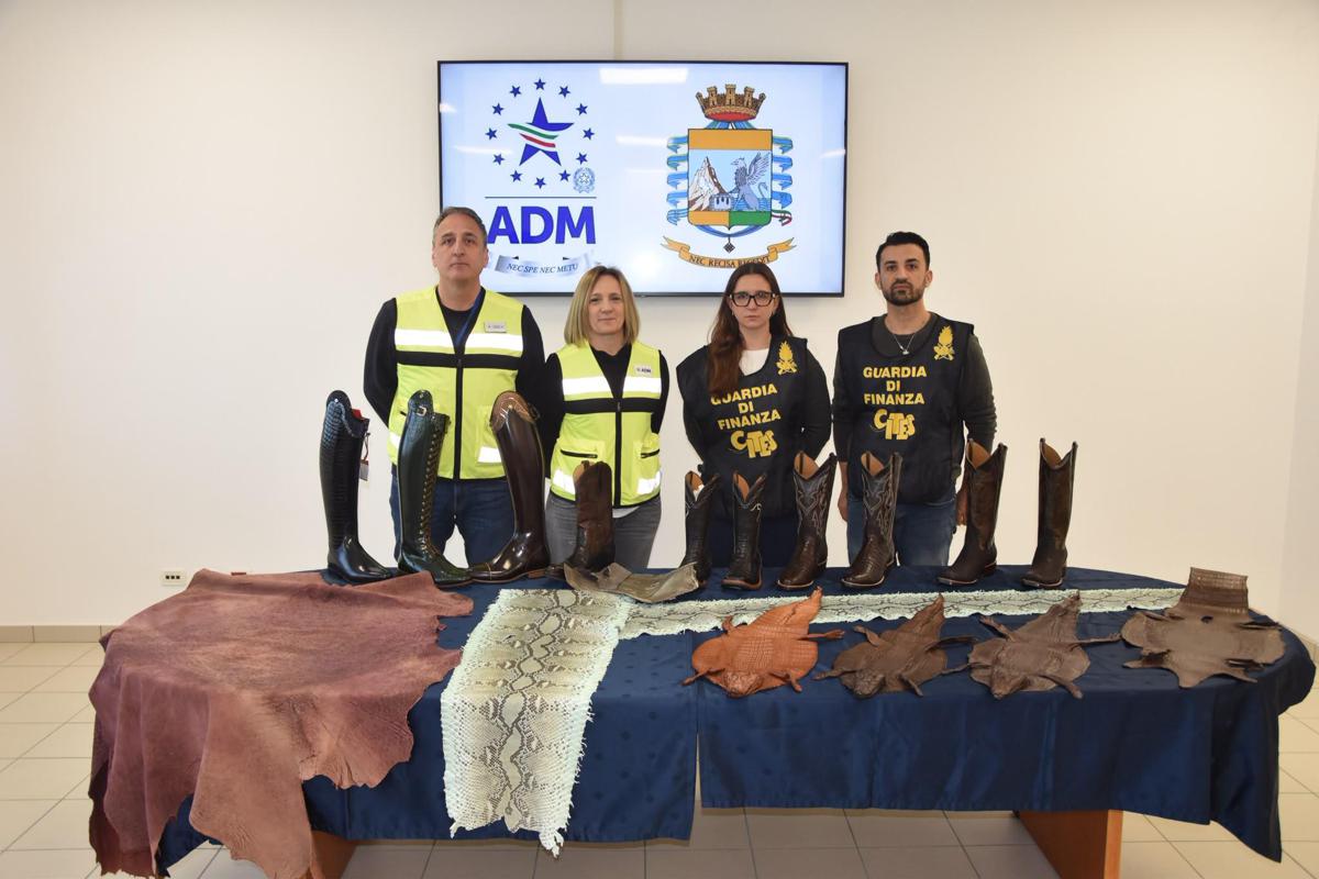 Scoperto traffico illegale accessori alta moda con pelli di specie animali protette