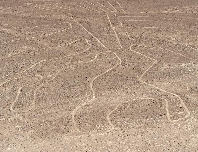 Le linee di Nazca - (Ipa)