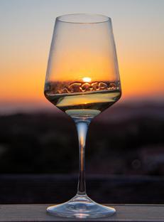 Calici di Stelle Val d'Orcia, alla scoperta del vino Orcia Doc, tra degustazioni e spettacoli
