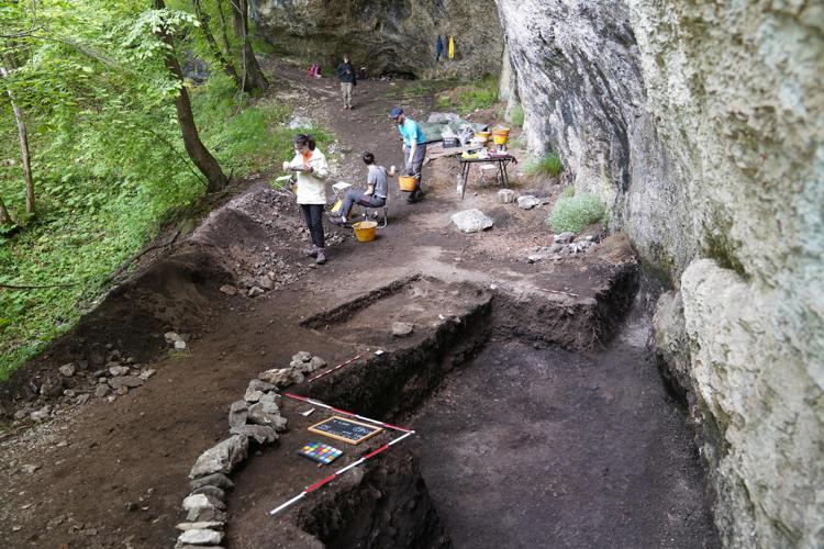 (L'area di scavo di Ripari Alti nell’area di Feltre, in provincia di Belluno - Ufficio stampa Università di Trento)