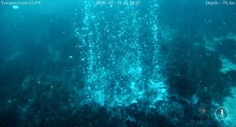 Scoperti un cratere di 100 metri e nuovi camini idrotermali a Panarea