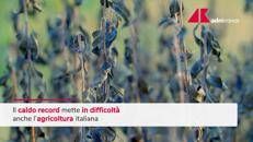 Caldo record taglia produzione ortofrutta