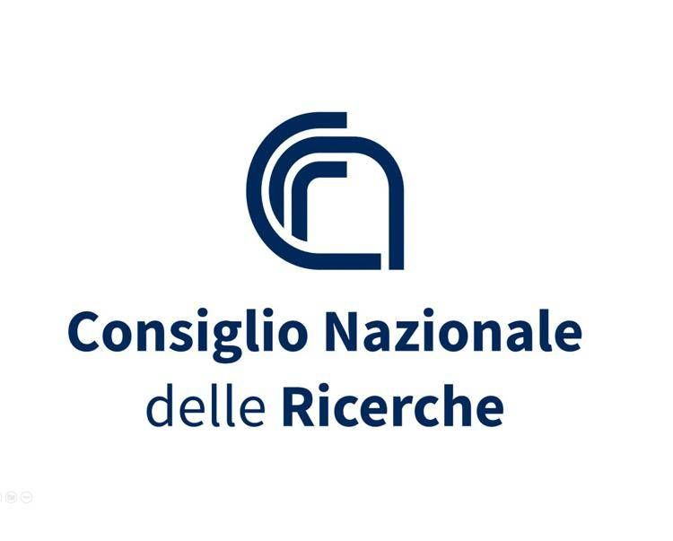 Il codice segreto dei neuroni, lo studio CNR su Nature
