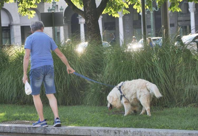 Caldo, il decalogo Enpa per gli animali: mai lasciarli in auto e occhio ai colpi di calore