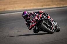 Jorge Martin - IPA