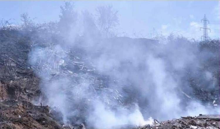 Il fumo nell'area incendiata - (Facebook Fonte Laurentina)