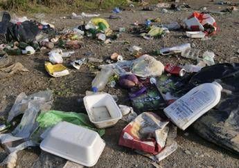 Gli imballaggi inquinano, se dispersi nell'ambiente 
 - Fotogramma/Ipa