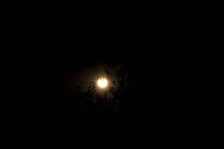 Eclissi - IPA