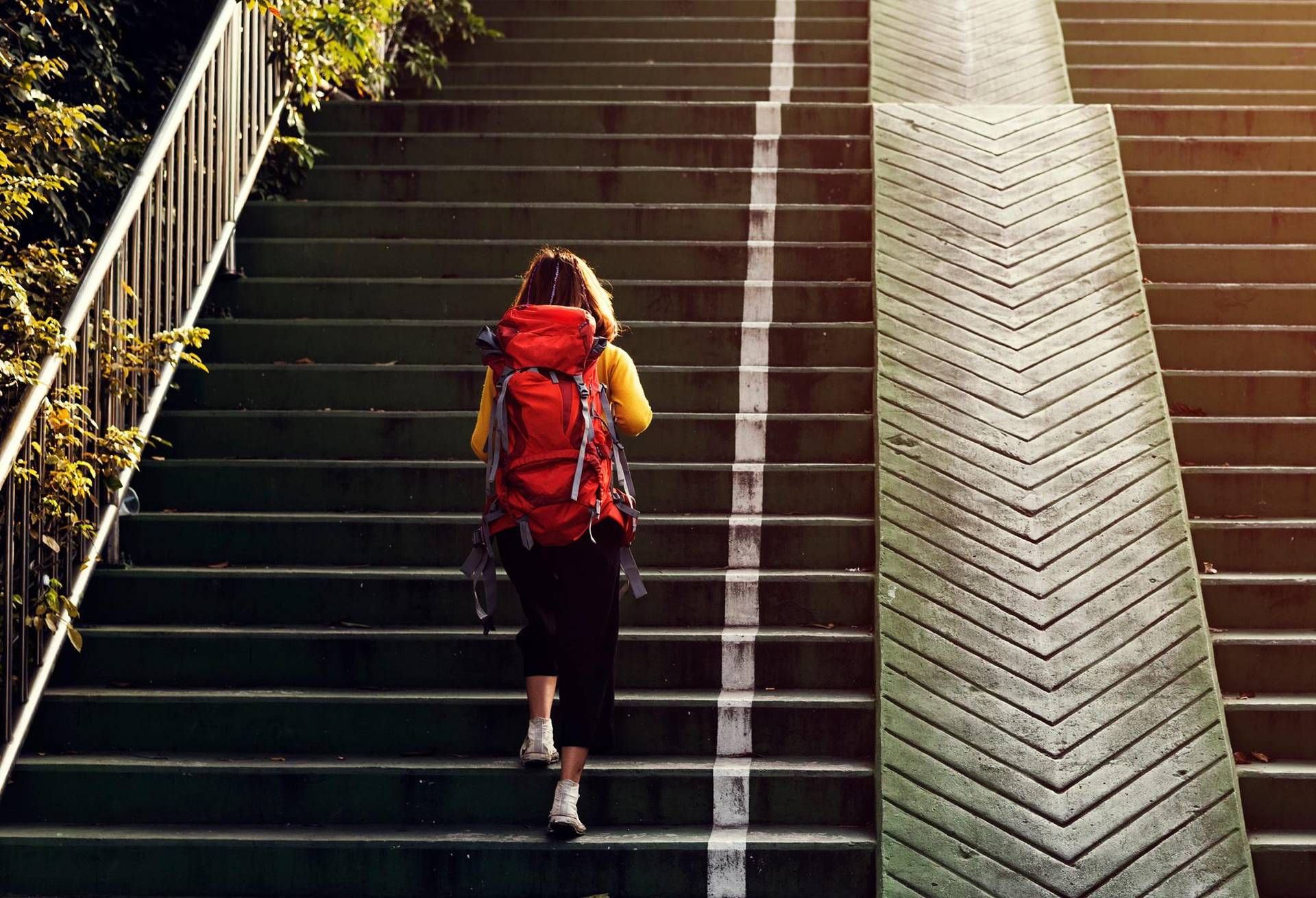 Giù rischio infarti e ictus, ecco perché fare le scale allunga la vita: lo studio