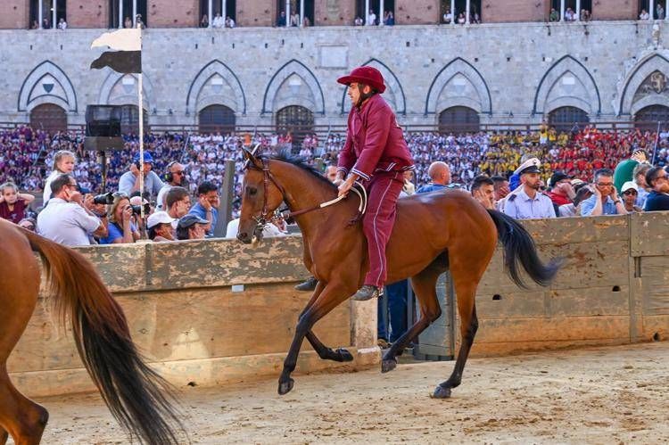 La Contrada della Torre