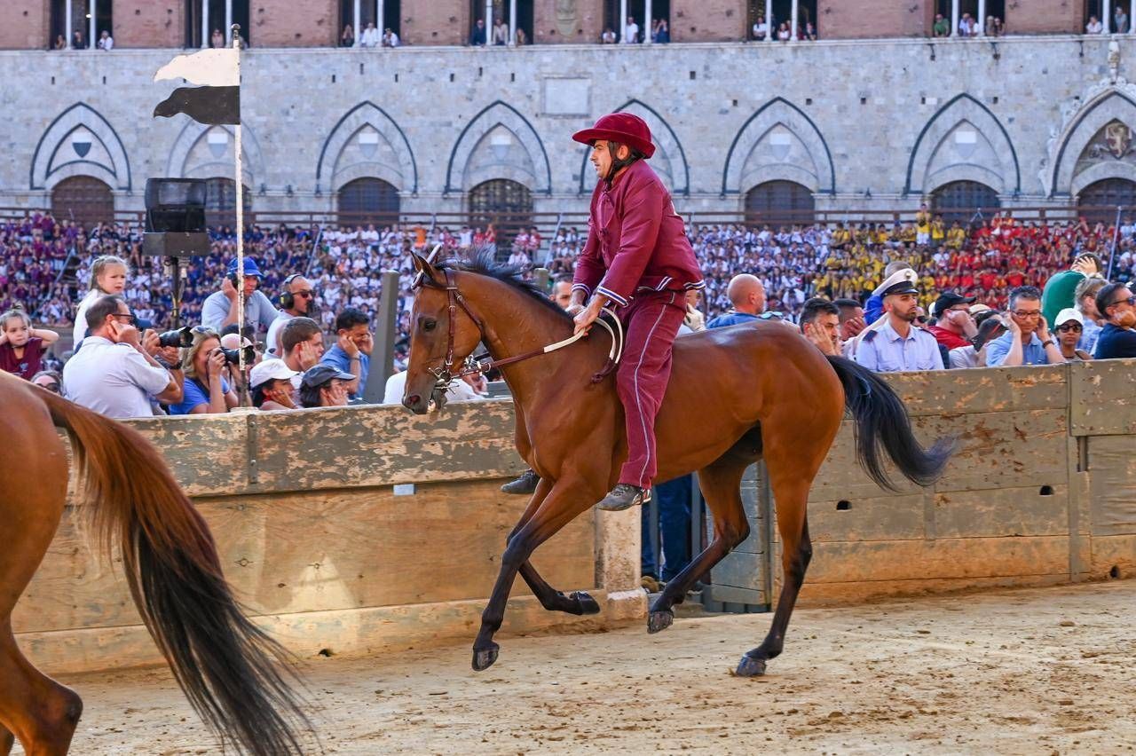 Palio Siena, la Contrada della Torre vince la quarta prova