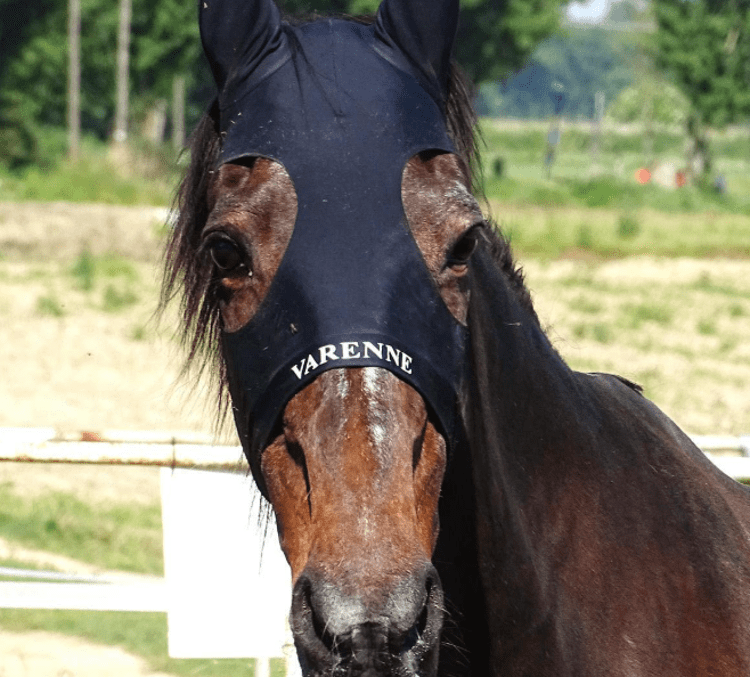 Varenne - (Facebook)