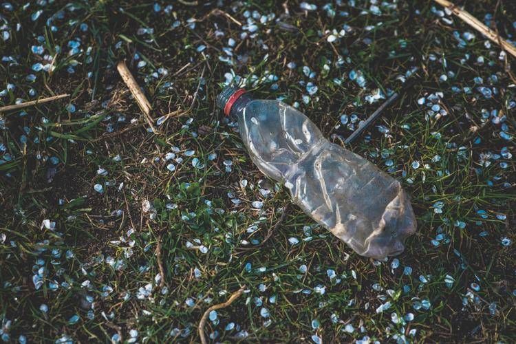 Bottiglia di plastica - Canva