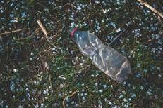 Bottiglia di plastica - Canva