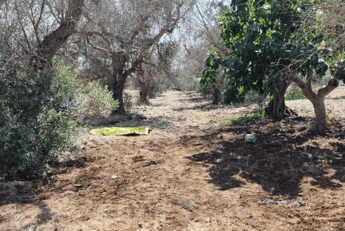 Il luogo dell'aggressione  - (Carabinieri)