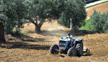 Infortuni, quando la lingua diventa un rischio per la sicurezza nei campi