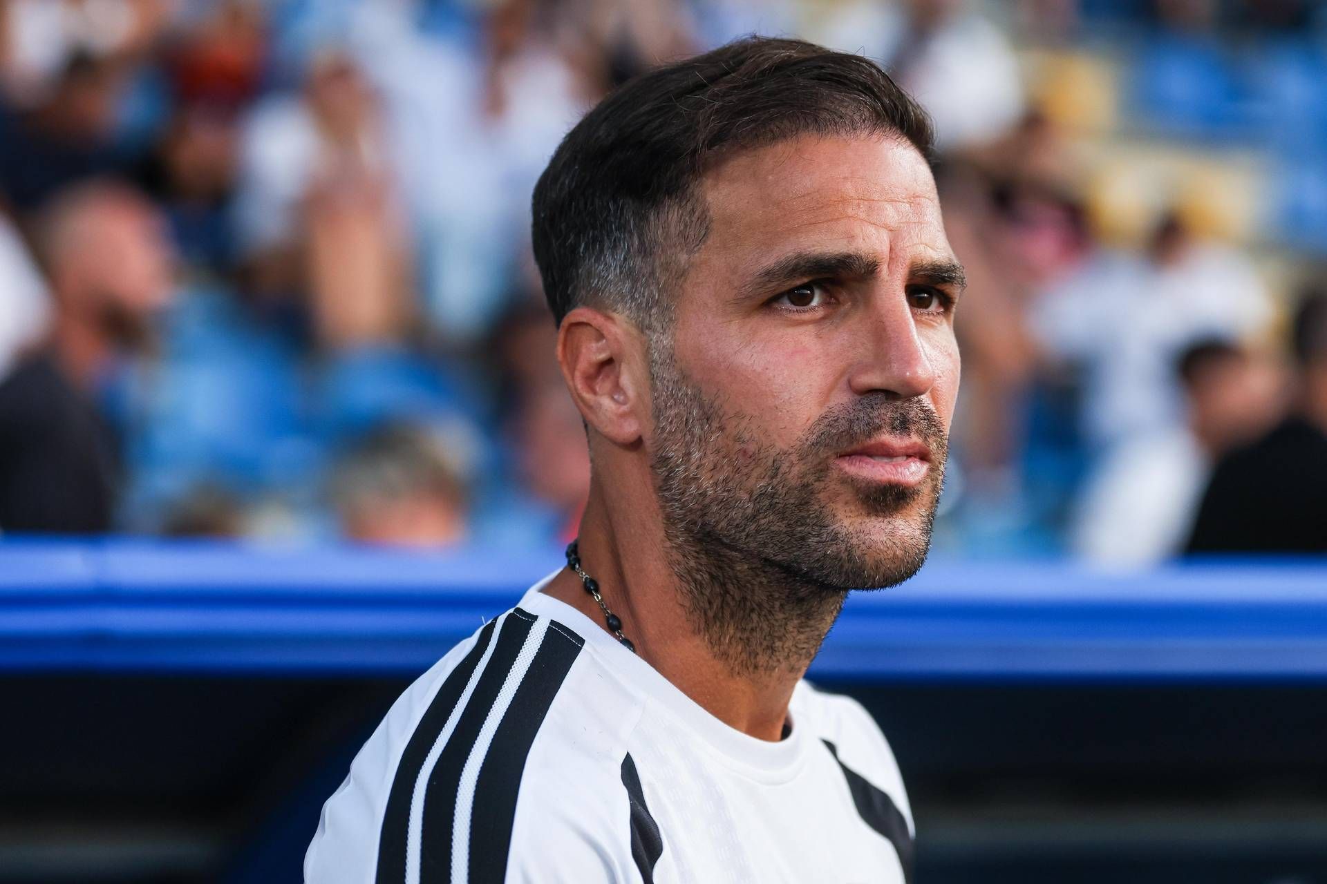 Fabregas avverte il Como: "Champions un regalo ma pensiamo prima di tutto al campionato, vogliamo crescere ancora"