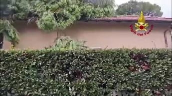 Tromba d'aria nel Lucchese, alberi caduti su auto e abitazioni - Video