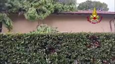 Tromba d'aria nel Lucchese, alberi caduti su auto e abitazioni - Video