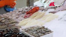 Fermo pesca in tutto l'Adriatico, lo stop fino al 29 settembre