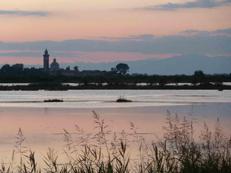 Ricostruito il mondo perduto dell'Alto Adriatico, nuove scoperte sulle comunità preistoriche