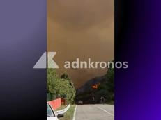 Incendi in Sardegna, notte di fuoco ad Arzana: dall'alba in volo due Canadair - Video