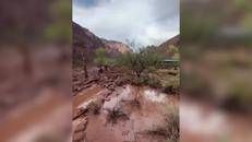 Inondazione improvvisa al Grand Canyon, le immagini dell'onda di fango
