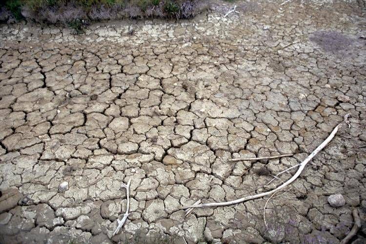 Terreno arido, siccità - FOTOGRAMMA