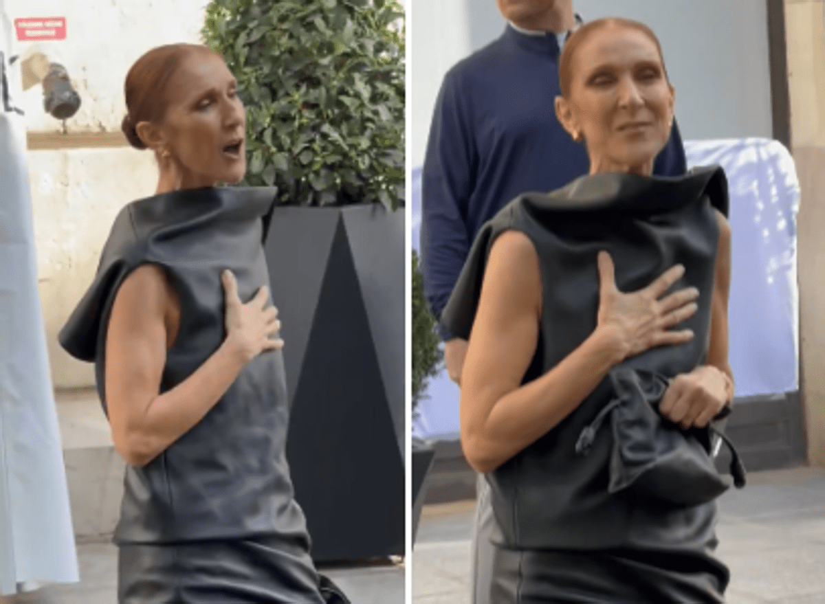 https://www.adnkronos.com/resources/02a9-21807f15ac08-d620fc491cca-1000/format/huge/celine_dion.png