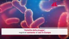 Malattia della pioggia, aumento dei casi in Europa