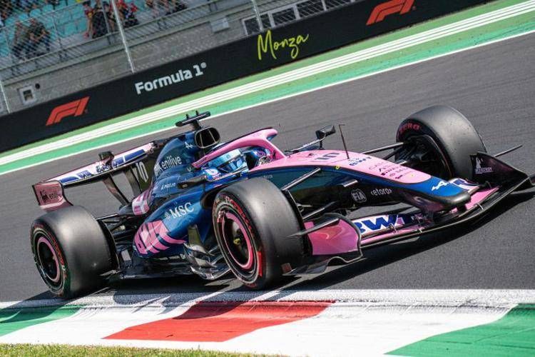 Pierre Gasly - IPA