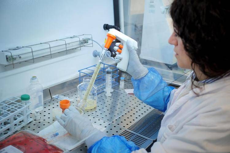Un nuovo consorzio europeo per sperimentare un’immunoterapia innovativa contro un aggressivo tumore cerebrale pediatrico