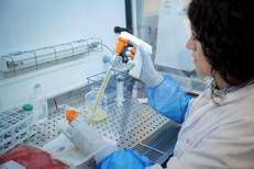 Un nuovo consorzio europeo per sperimentare un’immunoterapia innovativa contro un aggressivo tumore cerebrale pediatrico