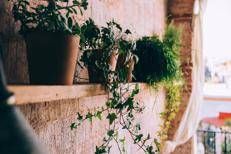 Piante in balcone - 123RF