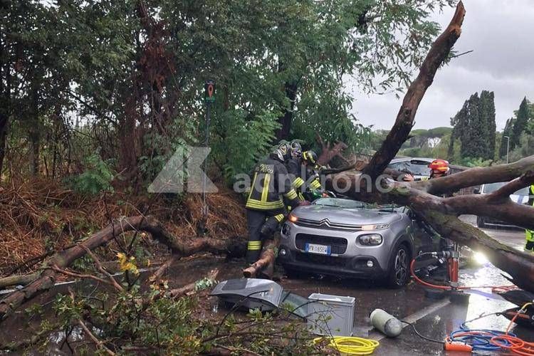 Albero cade su auto sull'Ardeatina - Adnkronos
