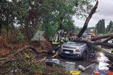 Albero cade su auto sull'Ardeatina - Adnkronos