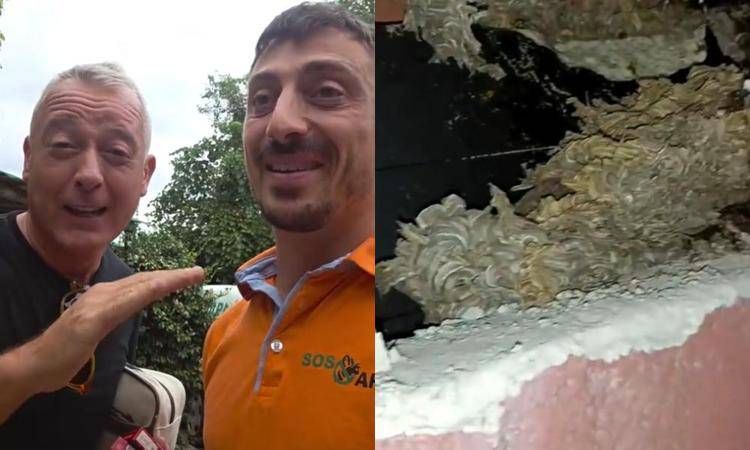 Pierluigi Diaco e Alessio Orsingher punti dalle vespe in casa, interviene il disinfestatore: 