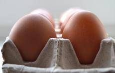Uova, repertorio - ()