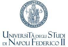 EU-GENIA Academy Napoli, Federico II e DXC Technology per corso gratuito in AI e dati